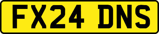 FX24DNS