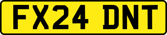 FX24DNT