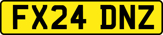 FX24DNZ