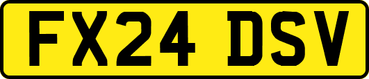 FX24DSV