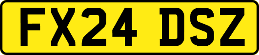FX24DSZ