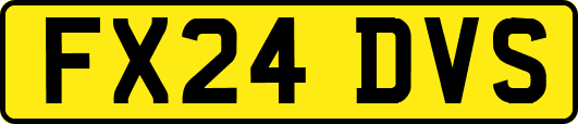 FX24DVS