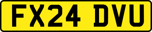 FX24DVU