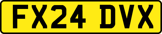 FX24DVX