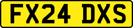 FX24DXS