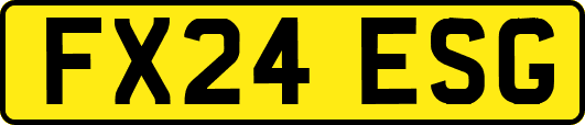 FX24ESG