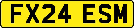 FX24ESM