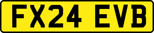 FX24EVB