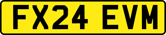 FX24EVM