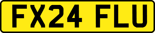 FX24FLU