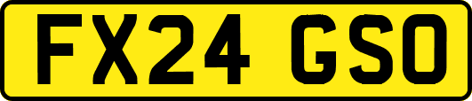 FX24GSO