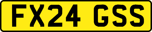 FX24GSS