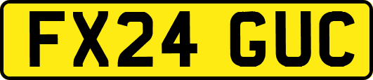 FX24GUC