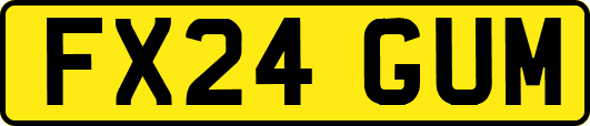 FX24GUM