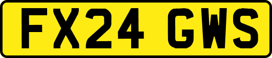 FX24GWS