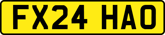 FX24HAO