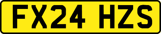 FX24HZS