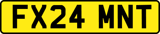FX24MNT