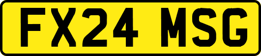 FX24MSG