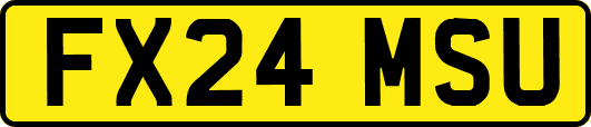 FX24MSU