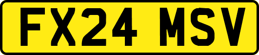 FX24MSV