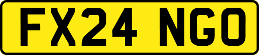 FX24NGO