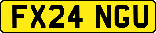 FX24NGU