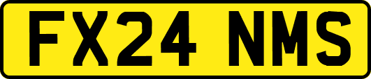 FX24NMS