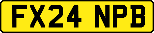 FX24NPB