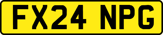 FX24NPG