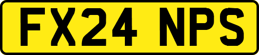 FX24NPS