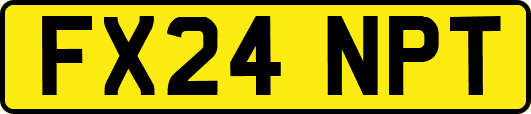 FX24NPT