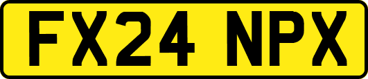 FX24NPX