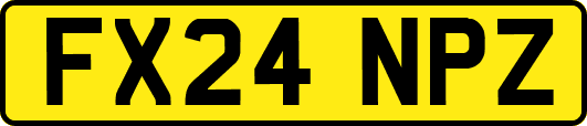 FX24NPZ