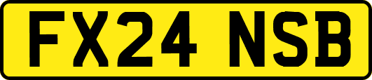 FX24NSB