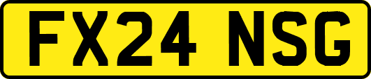 FX24NSG