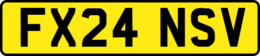 FX24NSV