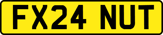 FX24NUT