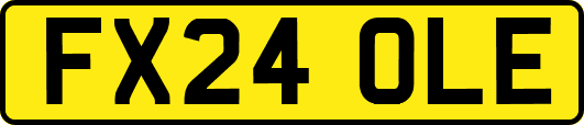 FX24OLE