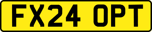 FX24OPT