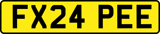 FX24PEE