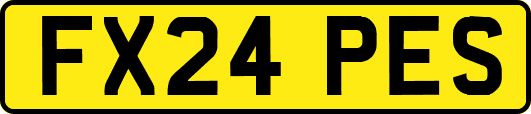 FX24PES