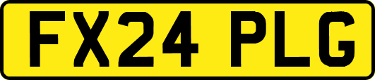 FX24PLG