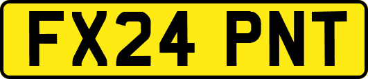 FX24PNT