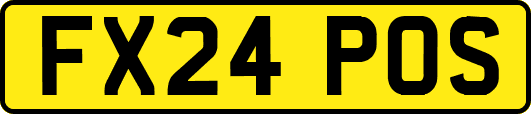 FX24POS