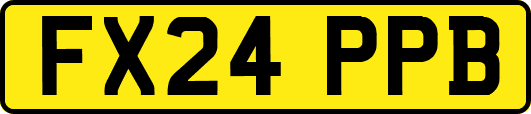 FX24PPB