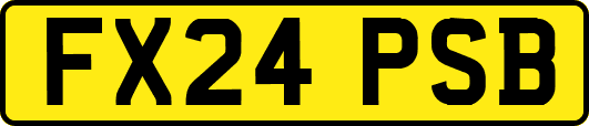 FX24PSB