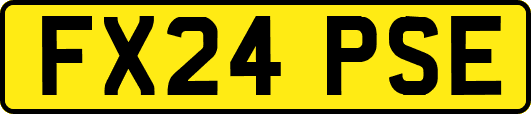 FX24PSE