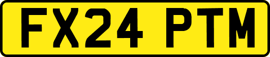FX24PTM