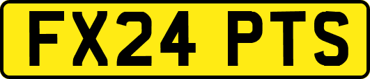 FX24PTS